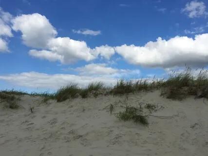 Yoga Nidra For Relaxation