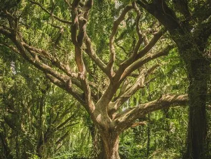 Yoga Nidra For Relaxation And Grounding