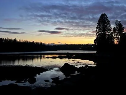 I Am Yoga Nidra™ For Relaxation & Ease | 20 Minutes