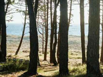 Yoga Nidra For Relaxation: I Matter