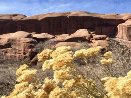 Yoga Nidra For Relaxation