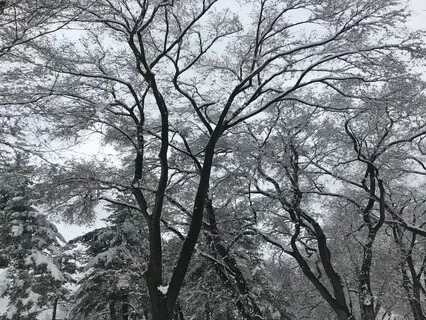 Yoga Nidra For Relaxation