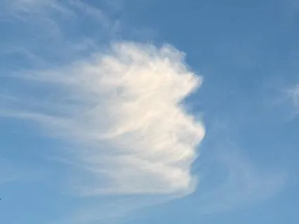 Yoga Nidra For Release Of Inflammation