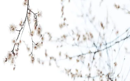 Yoga Nidra For Release, Rest, And Relaxation