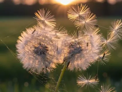 Yoga Nidra For Releasing Ruminating Thoughts