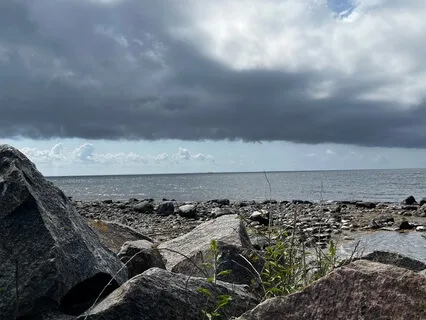 Yoga Nidra For Remembrance