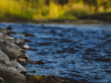 Yoga Nidra For Resilience: I Flow
