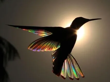 Guided Relaxation For Deep Rest