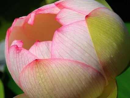 Yoga Nidra For Rest And Relaxation