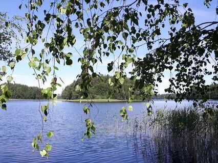 Yoga Nidra For Resting In The Gap