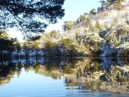 Yoga Nidra For Restorative Rest (Voice Only)