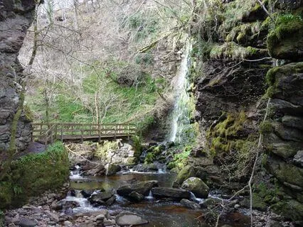 Yoga Nidra For Restorative Rest (With Music)