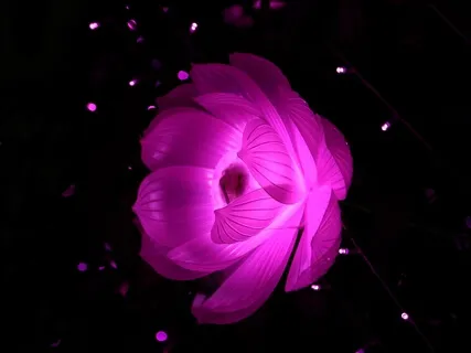 Yoga Nidra For Restorative Sleep