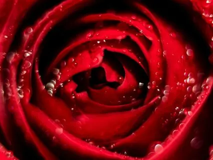 Yoga Nidra For Root Chakra - Feel Safe & Supported