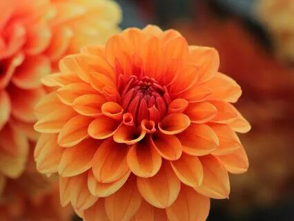 Yoga Nidra For Sacral Chakra - Heal & Relax