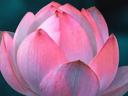 Yoga Nidra For Safety And Deep Surrender