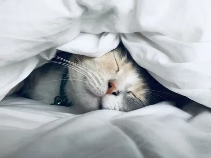 Yoga Nidra For Safety