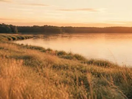 Yoga Nidra For Seasonal & Inner Change