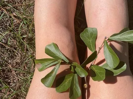 Yoga Nidra For Self-Acceptance And Embodiment