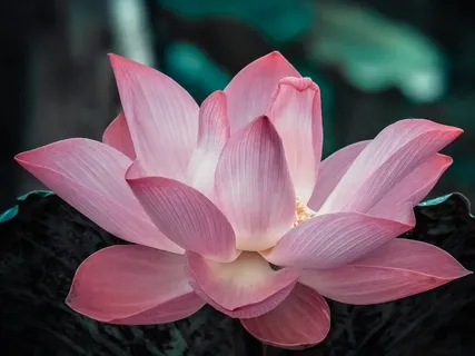 Yoga Nidra For Self-Acceptance