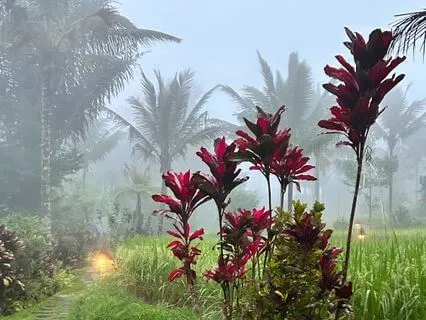 Yoga Nidra For Self Acceptance