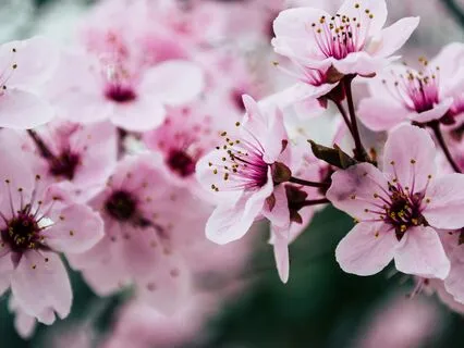 Yoga Nidra For Self-Compassion: Finding A Soft Smile Within