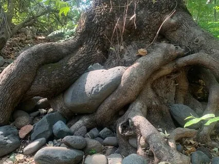 Yoga Nidra For Self-Expression