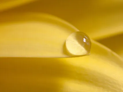 Yoga Nidra For Self-Love