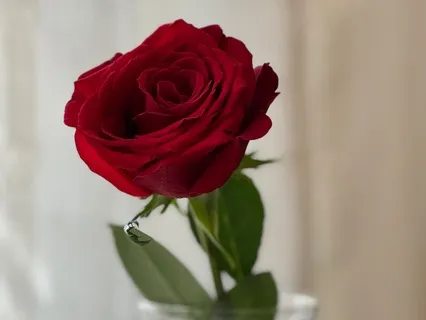 Yoga Nidra For Self-Love & Compassion