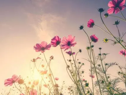Yoga Nidra For Self-Love | Nurture Your Heart & Deeply Rest