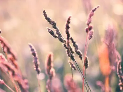 Yoga Nidra For Self-Love | You Are Worthy Of Love