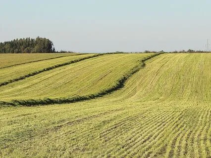 Yoga Nidra For Self-Love