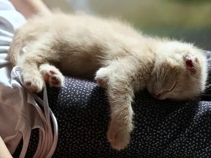 Yoga Nidra For Self-Trust & Feeling Safe