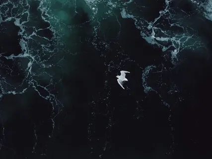 Yoga Nidra For Sleep