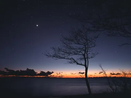 Yoga Nidra For Sleep