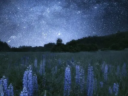 Yoga Nidra For Sleep