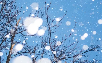 Yoga Nidrā For Sleep