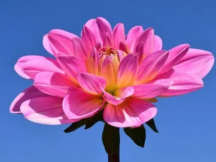 Yoga Nidra For Sleep And Anxiety Reduction