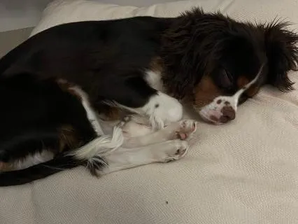 Yoga Nidra For Sleep And Relaxation (8 Hours)