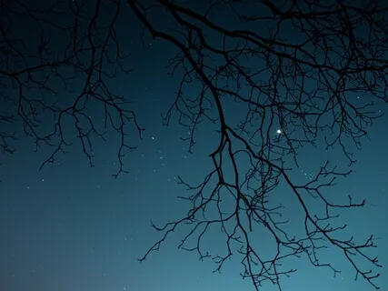 Yoga Nidra For Sleep & Rest