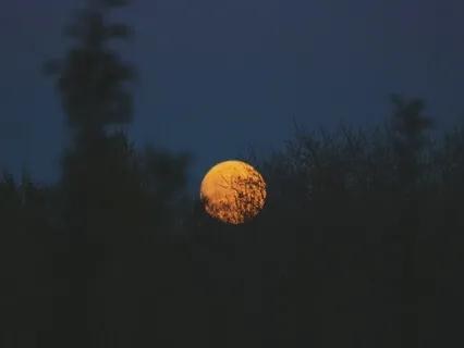 Yoga Nidra For Sleep During Pregnancy 