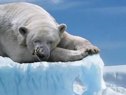 Yoga Nidra For Sleep & Insomnia Relief (Level 4)