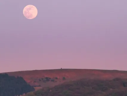 Yoga Nidra For Sleep (No Music)