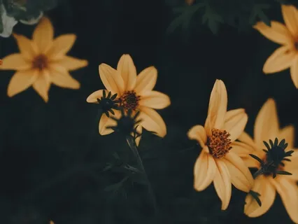 Yoga Nidra For Sleep: Rocking