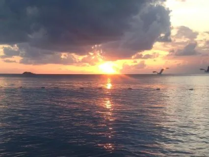 Yoga Nidra For Sleep: Tidal Night