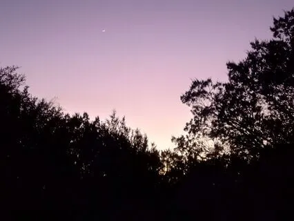 Yoga Nidra For Sleep Via Theta Brain Wave Activation