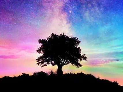 Yoga Nidra For Sleep