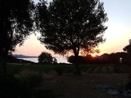 Yoga Nidra For Sleep