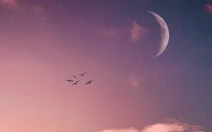 Yoga Nidra For Sleepless Nights