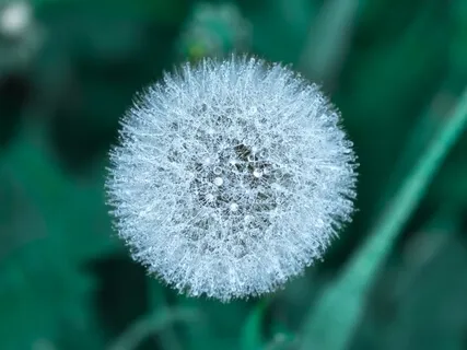 Yoga Nidra For Slowing Down